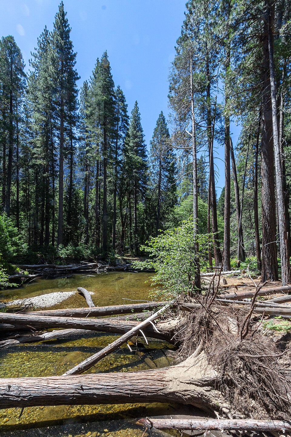 Yosemite National Park (California, USA), Yosemite Valley -- 2012 -- 4635 — Yosemite, United States