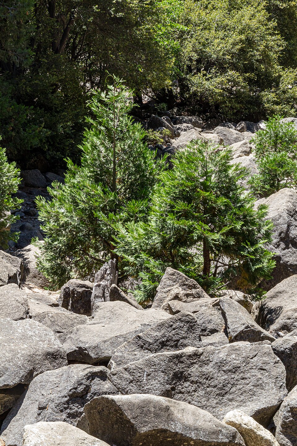 Yosemite National Park (California, USA), Yosemite Valley -- 2012 -- 4651 — Yosemite, United States