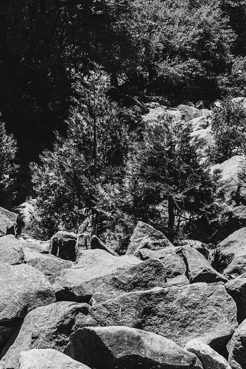 Yosemite National Park (California, USA), Yosemite Valley -- 2012 -- 4651 (bw) — Yosemite, United States
