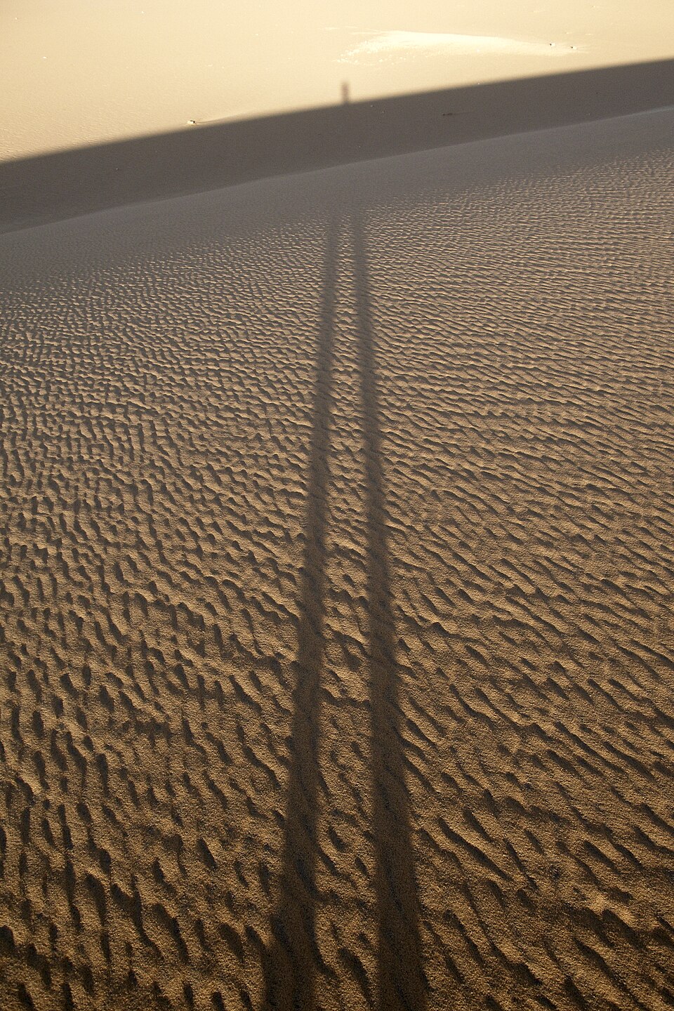 Sand dunes 2, Libyan Desert, Dakhla Oasis, Egypt — Erg Chebbi, Morocco