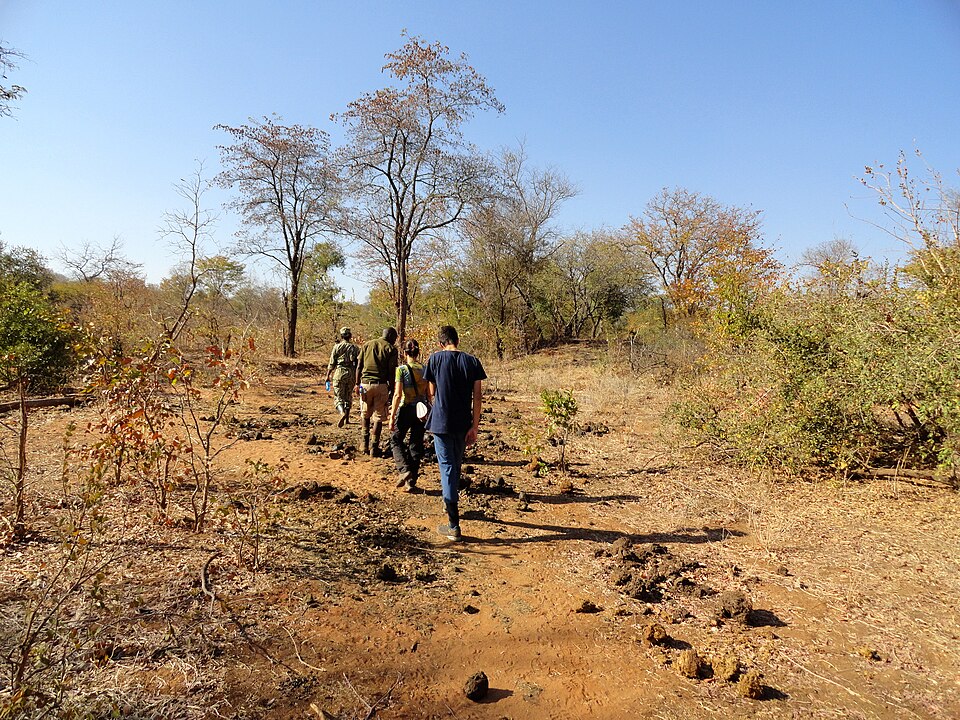 Mosi-oa-Tunya National Park, Zambia (48598581361) — Victoria Falls, Zambia