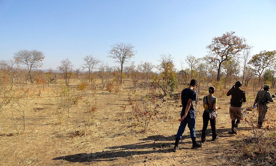 Mosi-oa-Tunya National Park, Zambia (48598567556) — Victoria Falls, Zambia