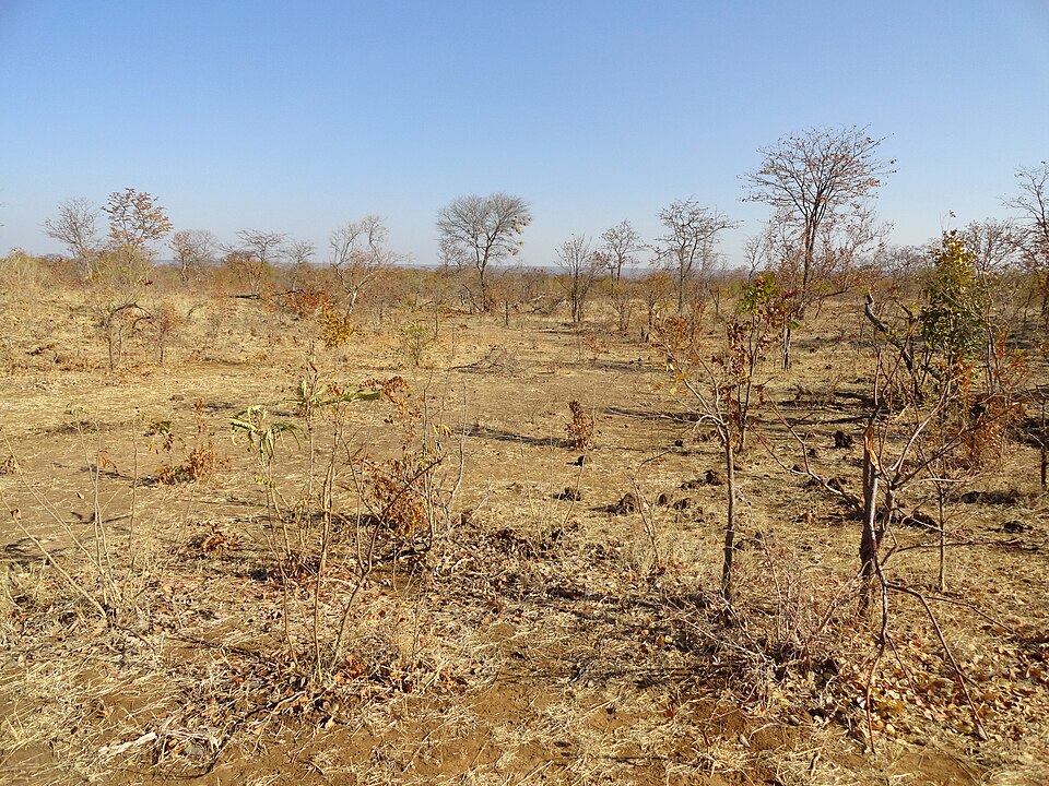 Mosi-oa-Tunya National Park, Zambia (48598702247) — Victoria Falls, Zambia