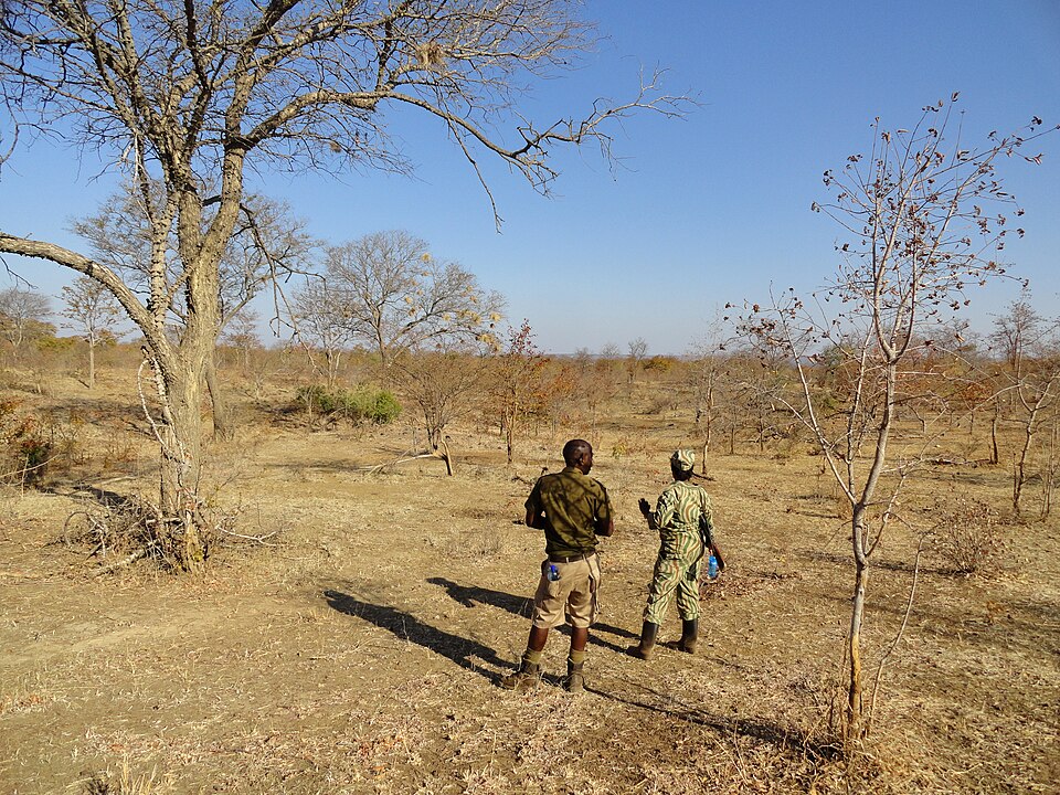 Mosi-oa-Tunya National Park, Zambia (48598559426) — Victoria Falls, Zambia
