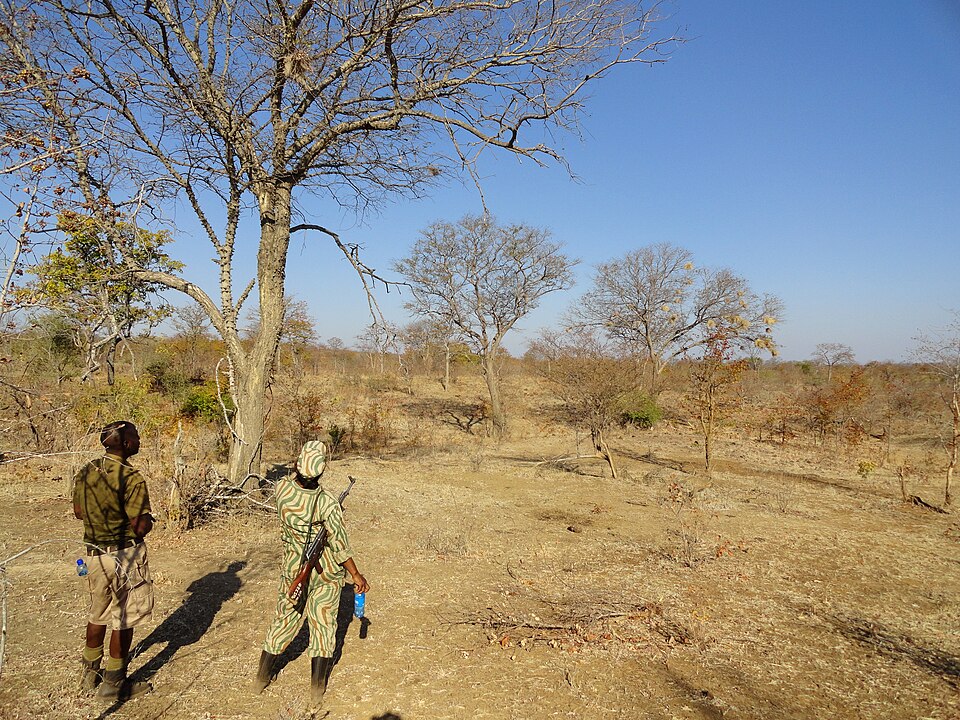 Mosi-oa-Tunya National Park, Zambia (48598695807) — Victoria Falls, Zambia