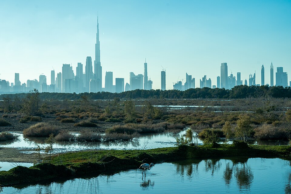 Dubai Skyline with Ra's Al Khor Wildlife Sanctuary — Dubai, United Arab Emirates