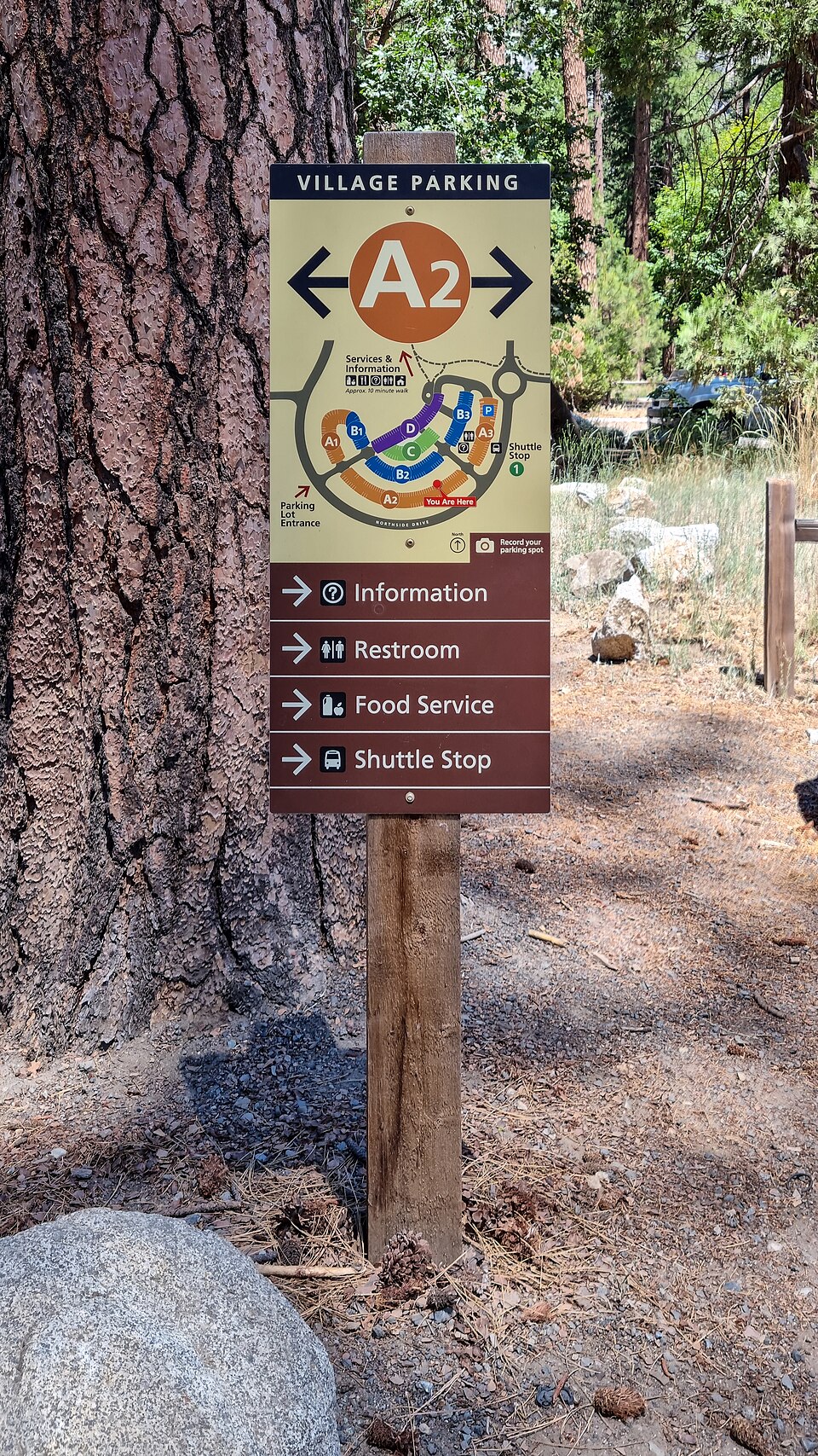 Yosemite National Park (CA, USA), Yosemite Valley, Parkplatz -- 2022 -- 113937 — Yosemite, United States