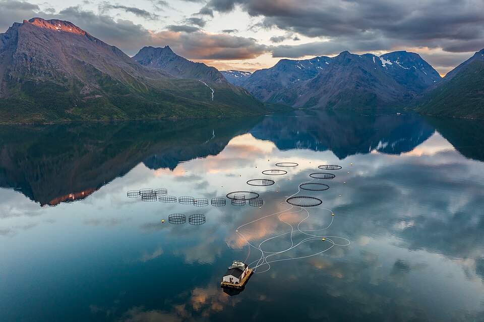 Fish farming on Øksfjorden in Loppa, Troms og Finnmark, Norway, 2022 August — Geirangerfjord, Norway