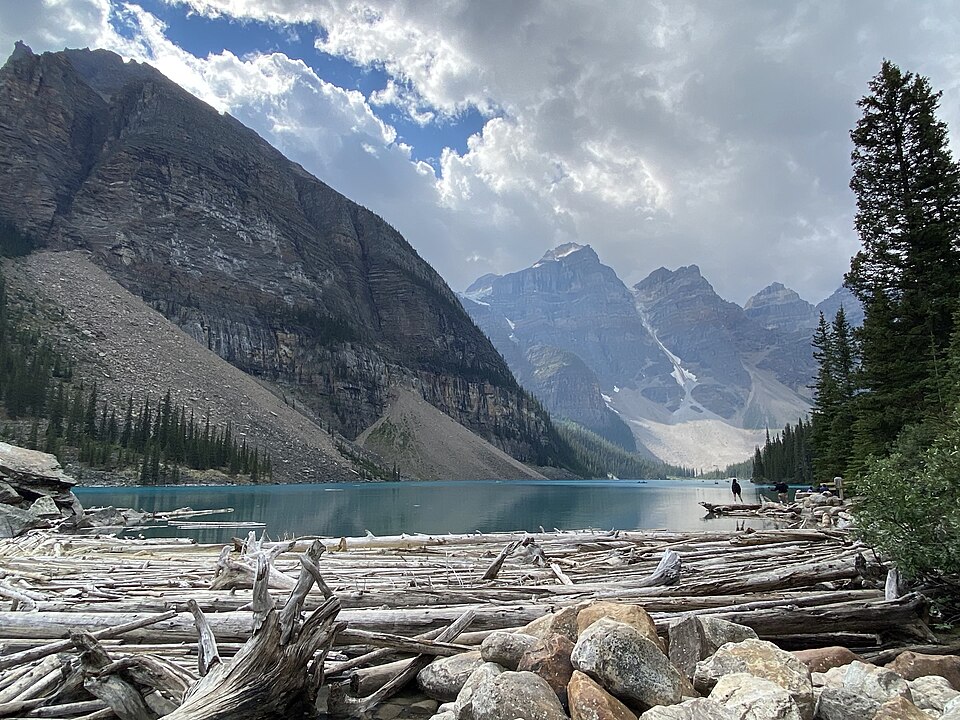 Moraine Lake logs — Banff, Canada