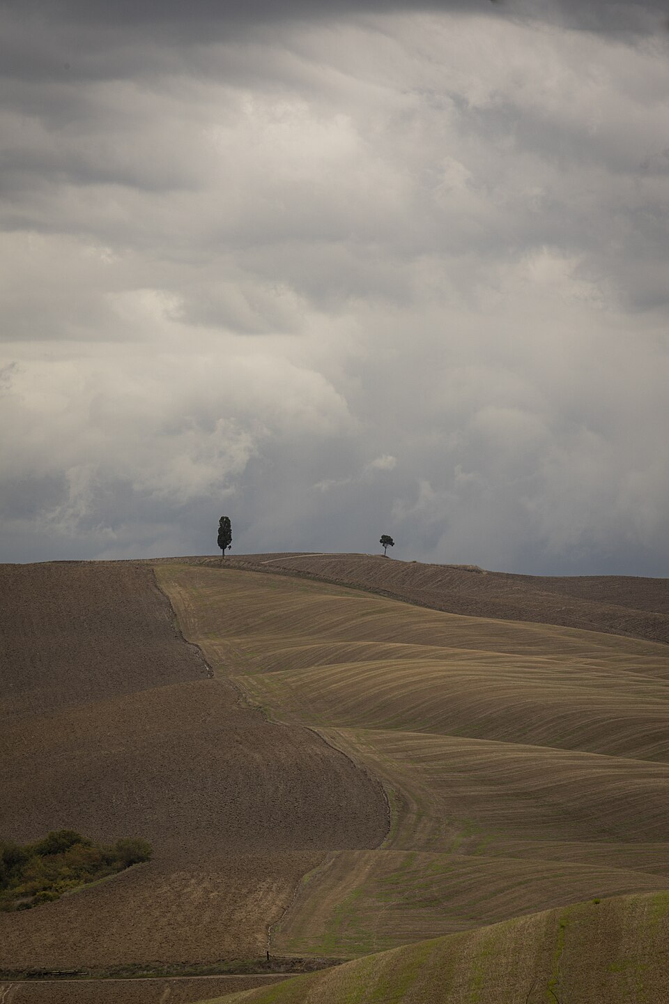 Landscape of Tuscany 2 — Val d'Orcia, Italy