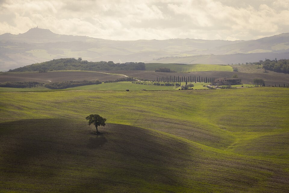 Landscape of Tuscany 3 — Val d'Orcia, Italy