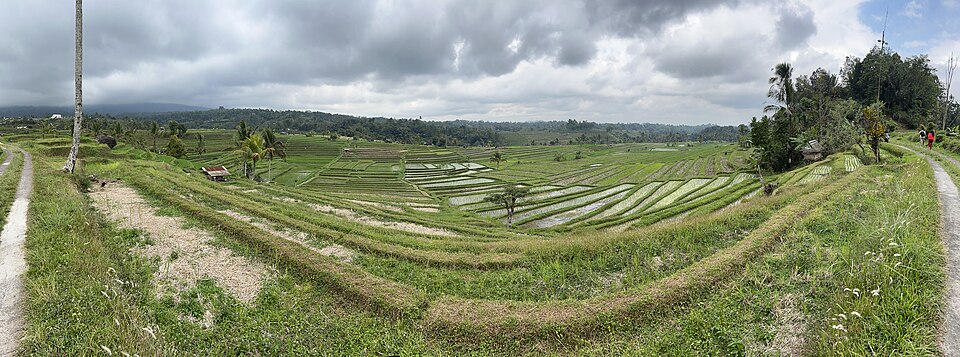 Jatiluwih rice terraces SF0001 — Tegallalang, Indonesia