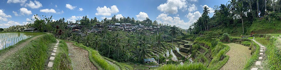 Tegallalang rice terraces SF0003 — Tegallalang, Indonesia
