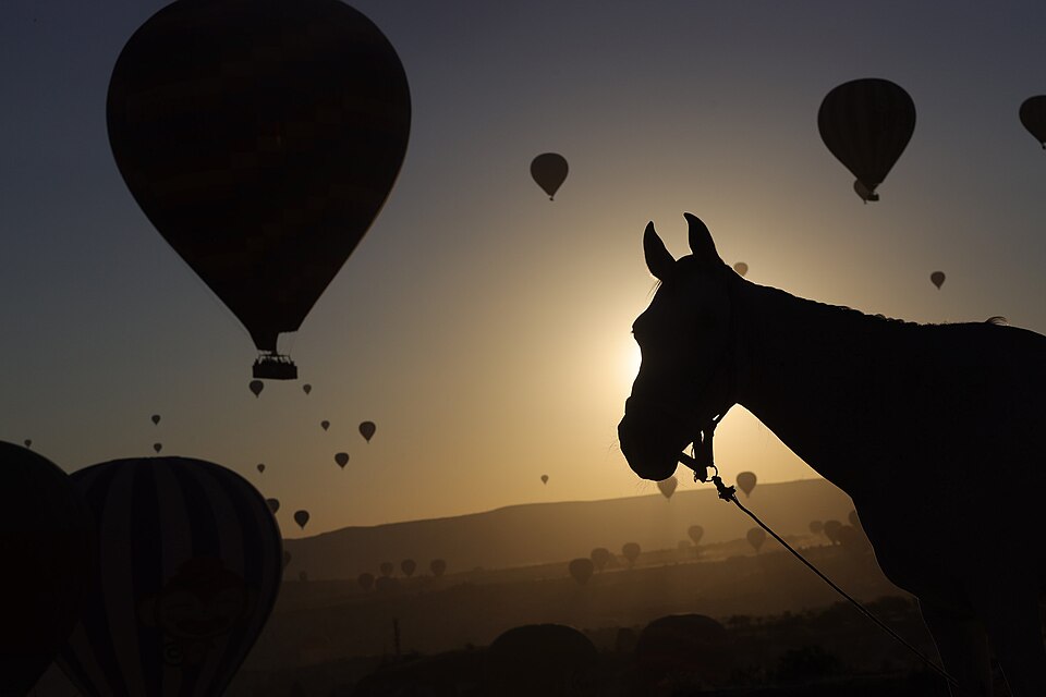 Balloons Cappadocia Toni Salabasev — Cappadocia, Turkey