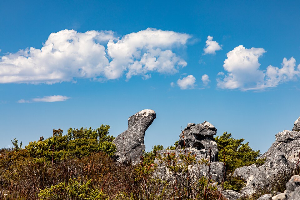 Cape Town (ZA), Table Mountain -- 2024 -- 2822 — Cape Town, South Africa