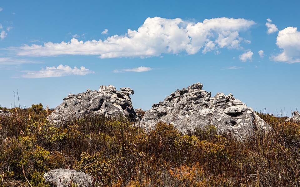 Cape Town (ZA), Table Mountain -- 2024 -- 2825 — Cape Town, South Africa
