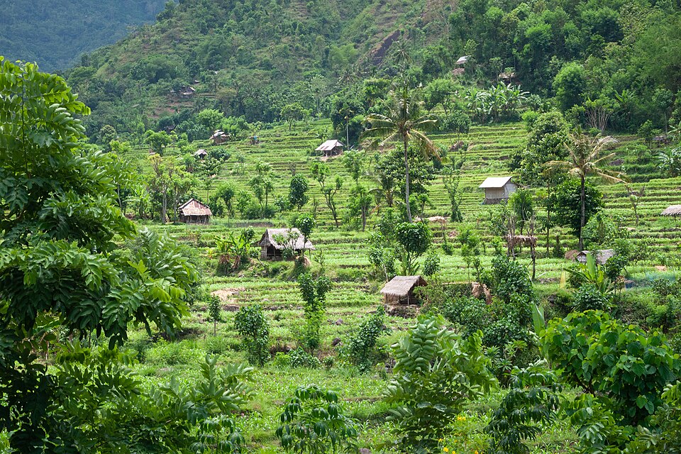 Bali, Rice fields, Rice terraces in East Bali, Indonesia — Tegallalang, Indonesia