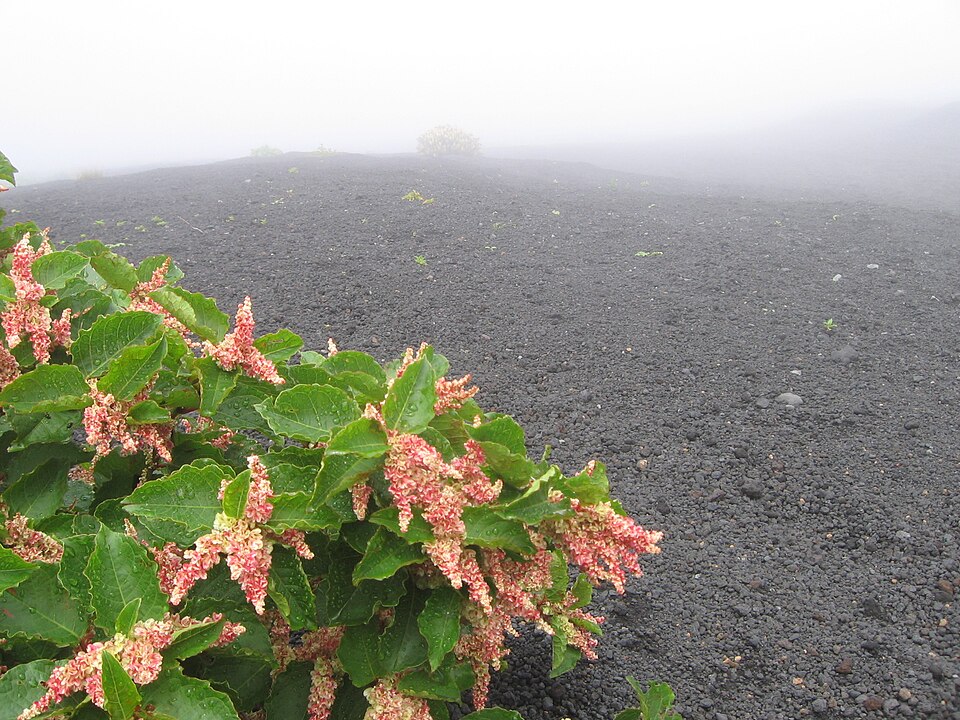 August 2009, climbing down Mount Fuji via alternative route — Mount Fuji, Japan