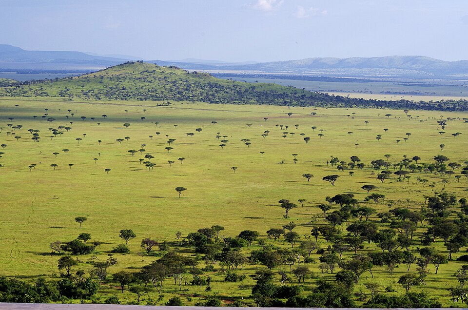 FWS Directer Dan Ashe visits Tanzania (18737498245) — Serengeti, Tanzania