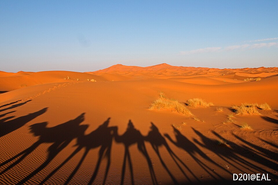 Sahara Desert, Morocco - 51827580257 — Erg Chebbi, Morocco