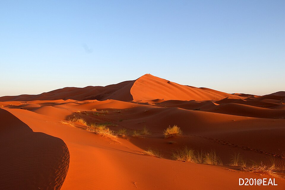 Sahara Desert, Morocco - 51830427381 — Erg Chebbi, Morocco