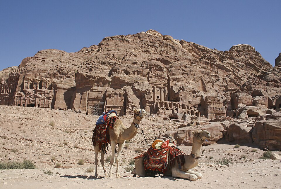 Camels in front of the tombs, Petra, Jordan — Petra, Jordan