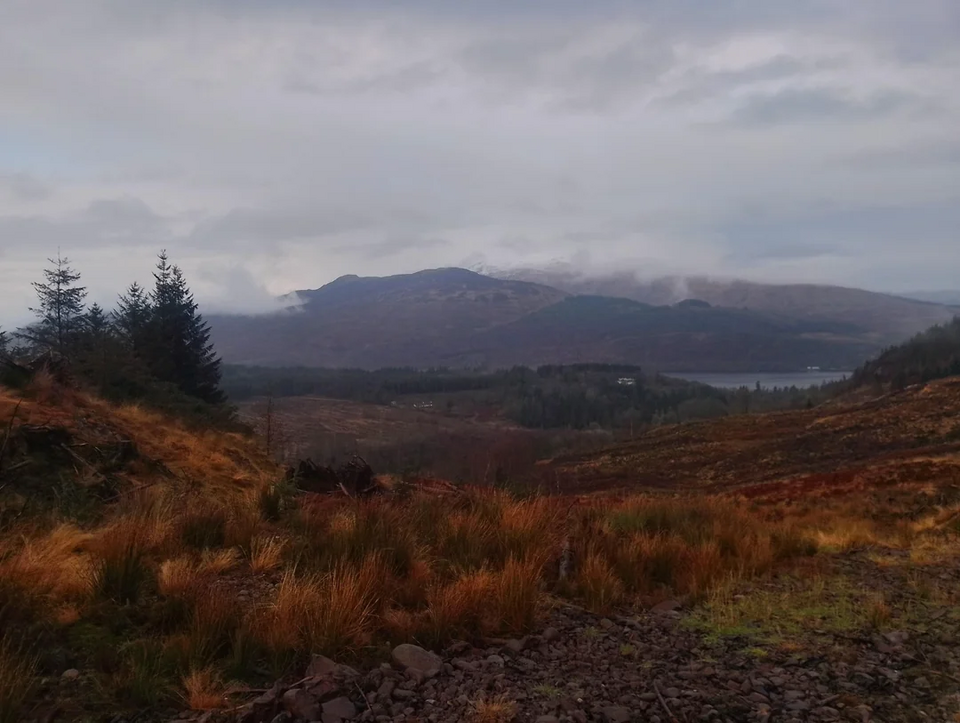 Woods around Loch Venachar, trossachs, scotland — Highlands, United Kingdom