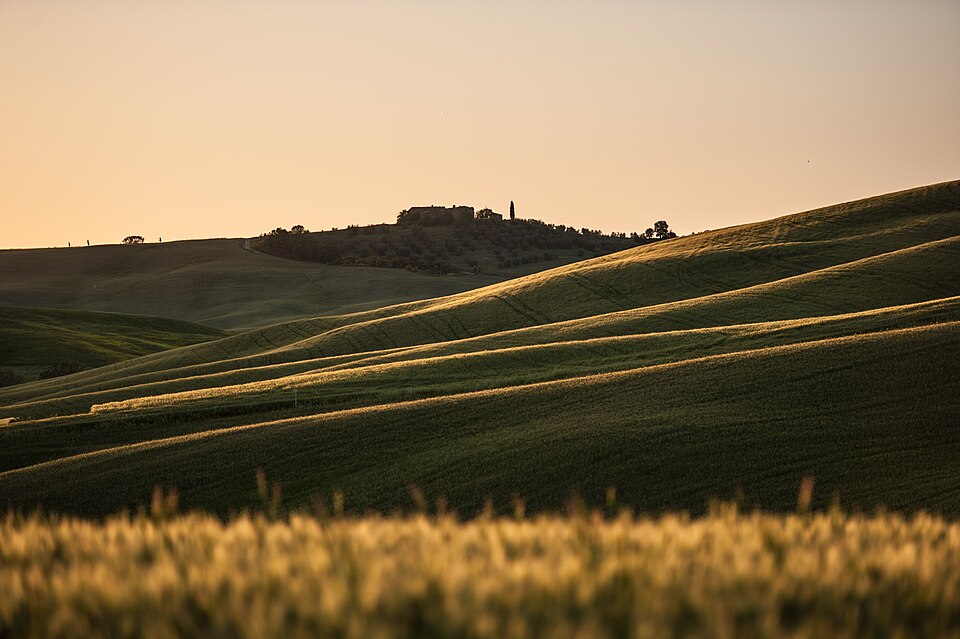 Hills of Tuscany at evening light — Val d'Orcia, Italy