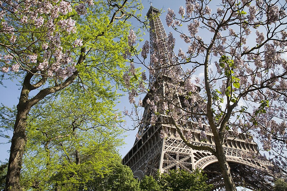Paris - The Eiffel Tower in spring - 2307 — Paris, France