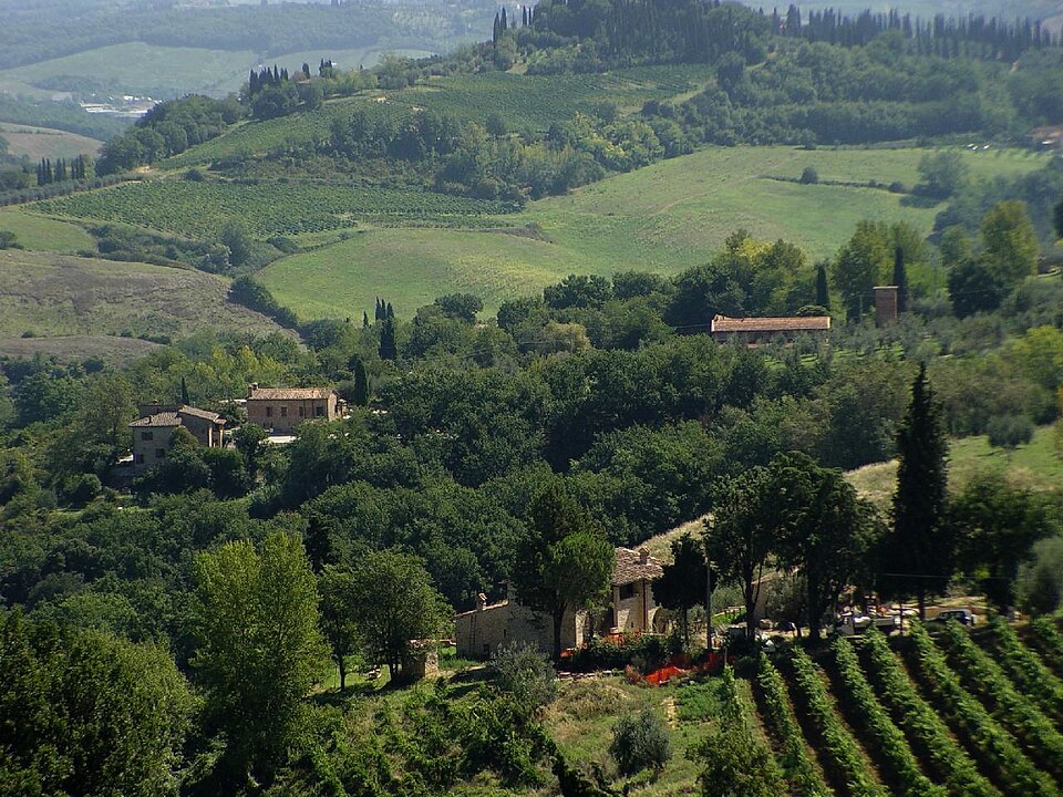 Tuscany Landscape Italy (334557756) — Val d'Orcia, Italy
