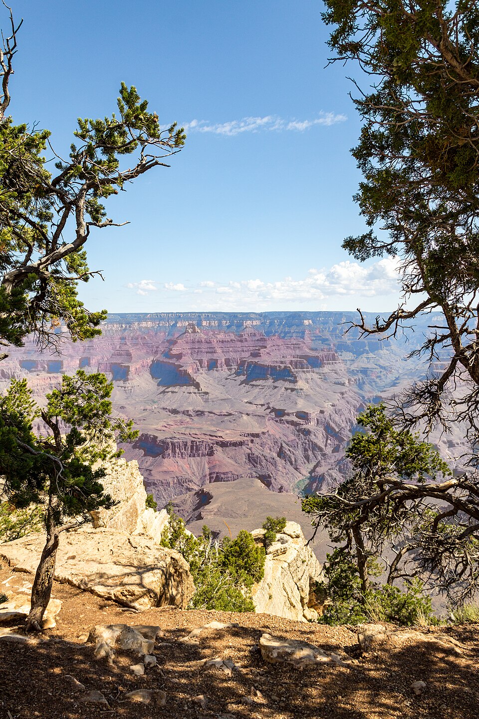 Grand Canyon (Arizona, USA), South Rim nahe Tusayan -- 2012 -- 5848 — Grand Canyon, United States
