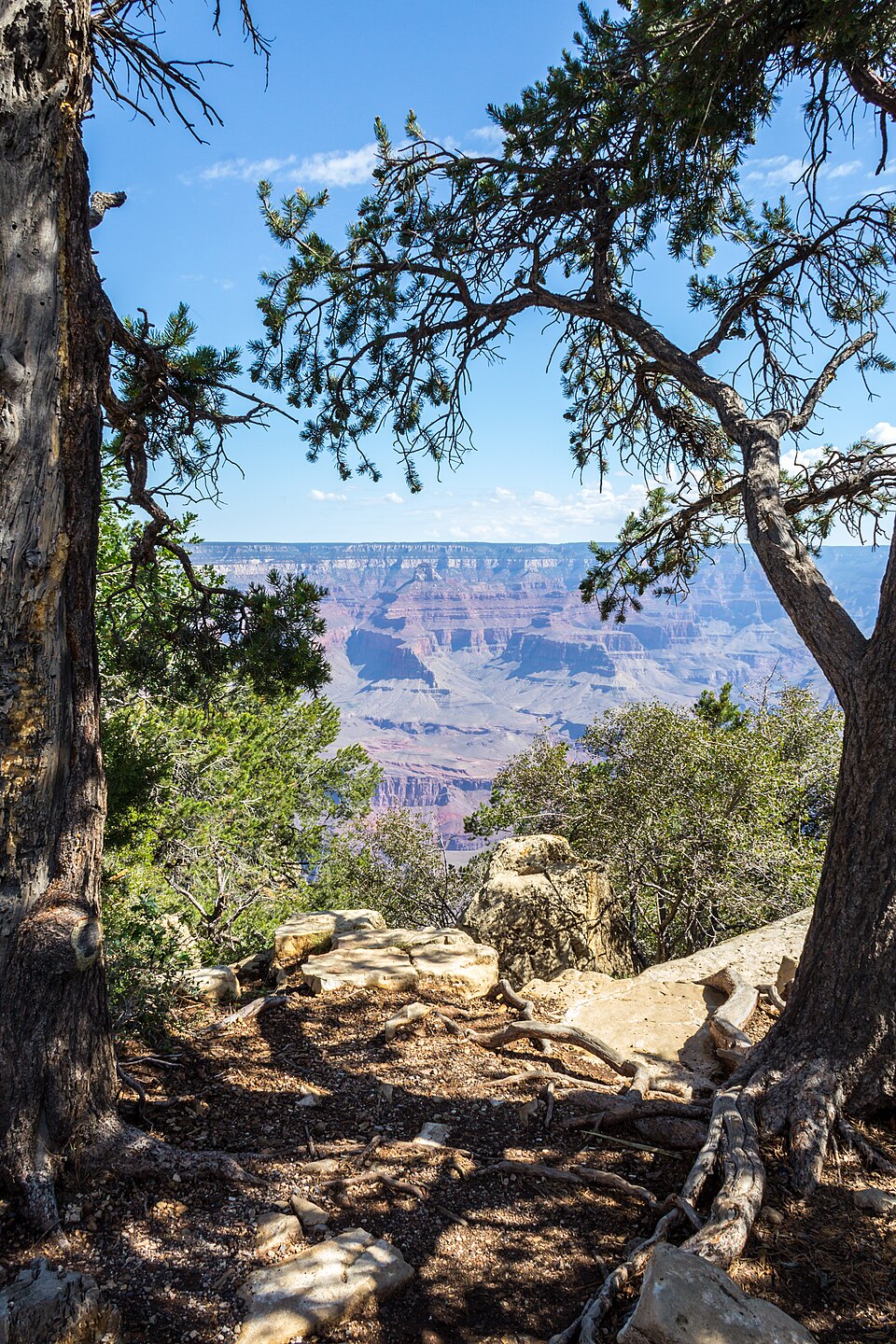 Grand Canyon (Arizona, USA), South Rim nahe Tusayan -- 2012 -- 5844 — Grand Canyon, United States