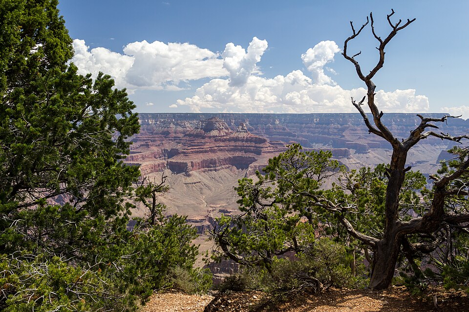 Grand Canyon (Arizona, USA), South Rim nahe Tusayan -- 2012 -- 5892 — Grand Canyon, United States