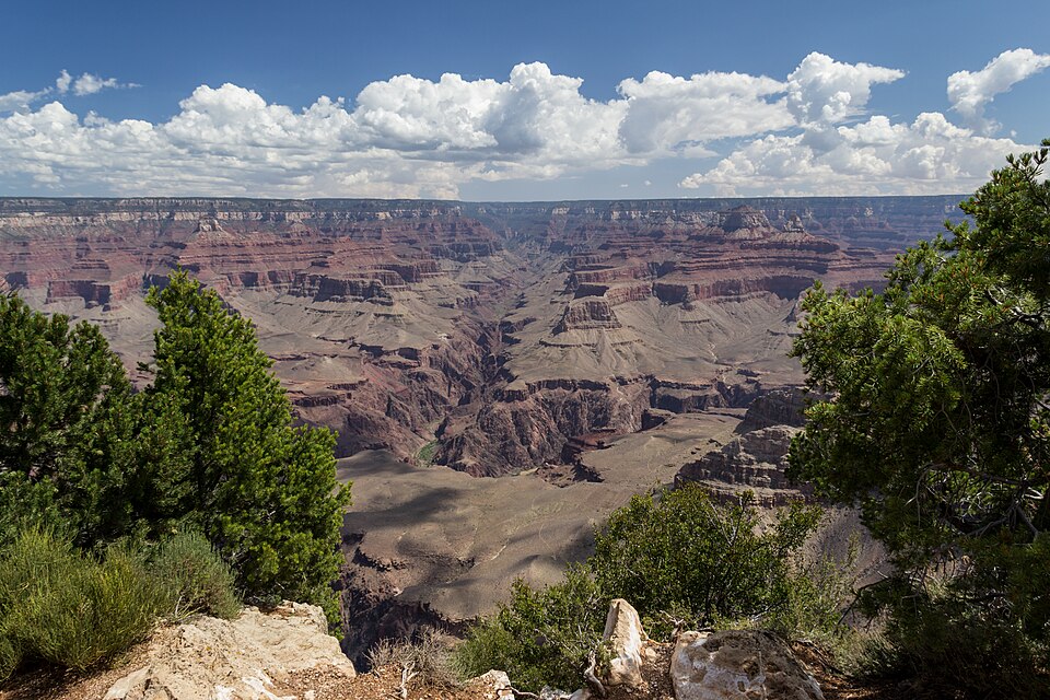 Grand Canyon (Arizona, USA), South Rim nahe Tusayan -- 2012 -- 5895 — Grand Canyon, United States