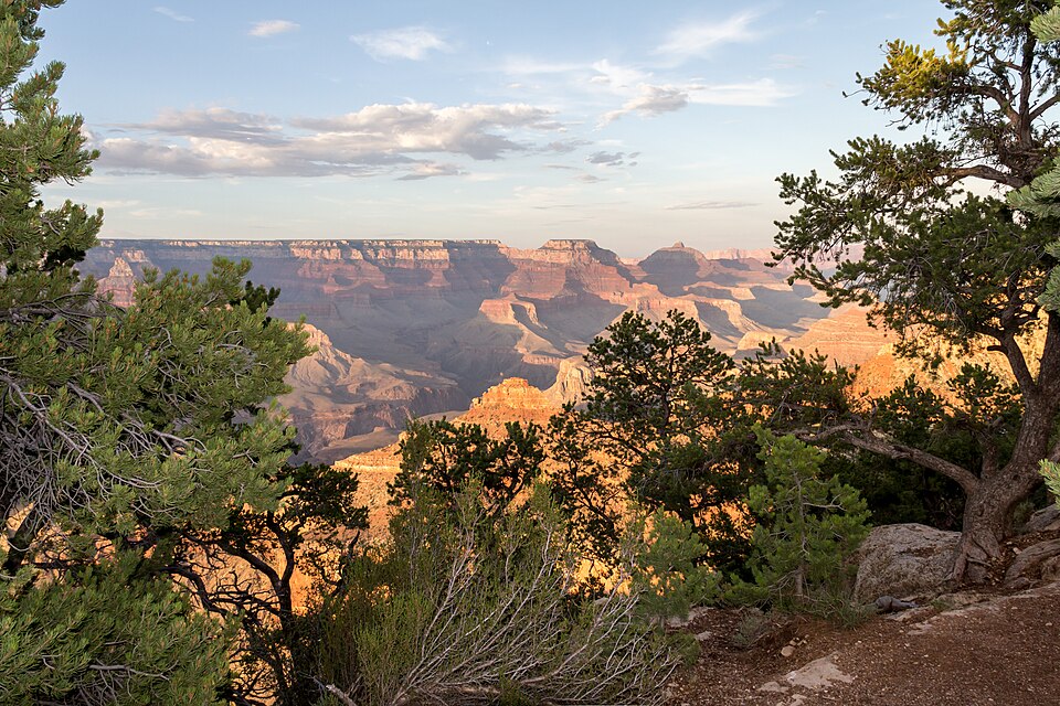 Grand Canyon (Arizona, USA), South Rim nahe Tusayan -- 2012 -- 6047 — Grand Canyon, United States