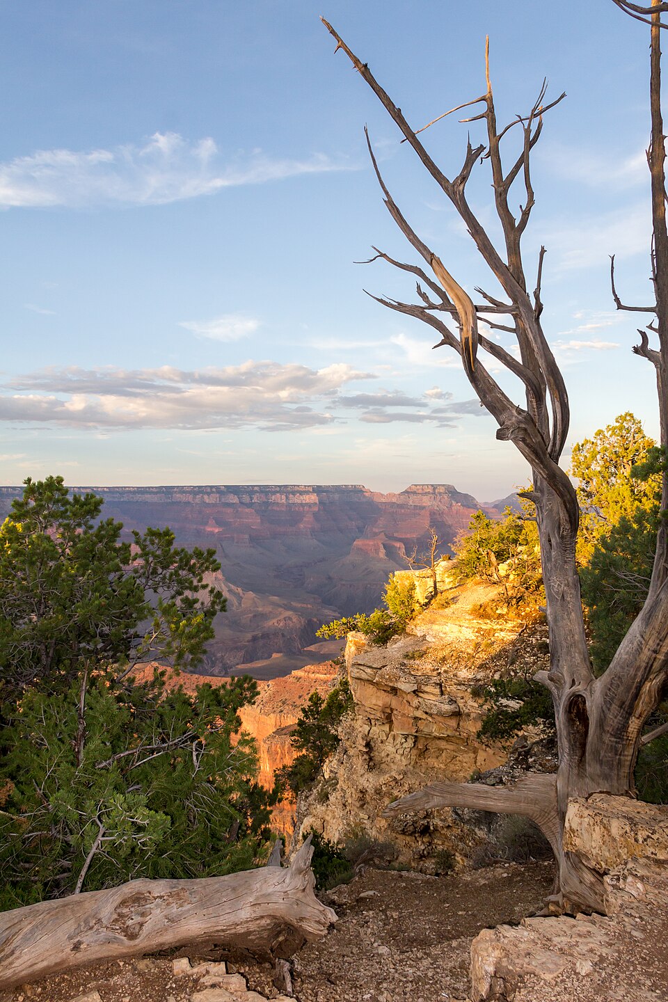 Grand Canyon (Arizona, USA), South Rim nahe Tusayan -- 2012 -- 6051 — Grand Canyon, United States