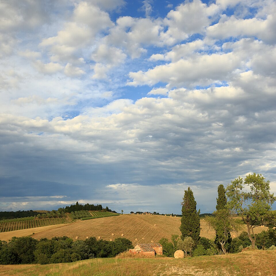 Tuscan Landscape 7 — Val d'Orcia, Italy