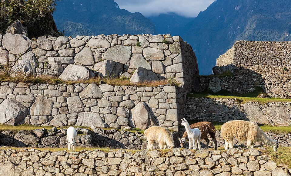 Machu Picchu, Perú, 2015-07-30, DD 58 — Machu Picchu, Peru