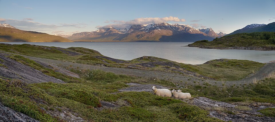 Summer night at Lyngspollen, Lyngen fjord, Troms, Norway, 2012 June — Geirangerfjord, Norway