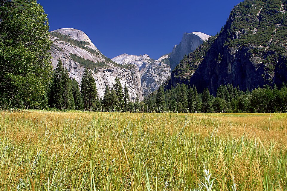 Yosemite meadows 2004-09-04 — Yosemite, United States