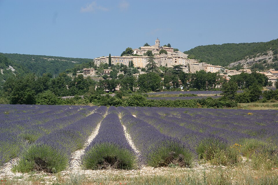 Lavendel in Südfrankreich - lavender fields (18430628268) — Valensole, France