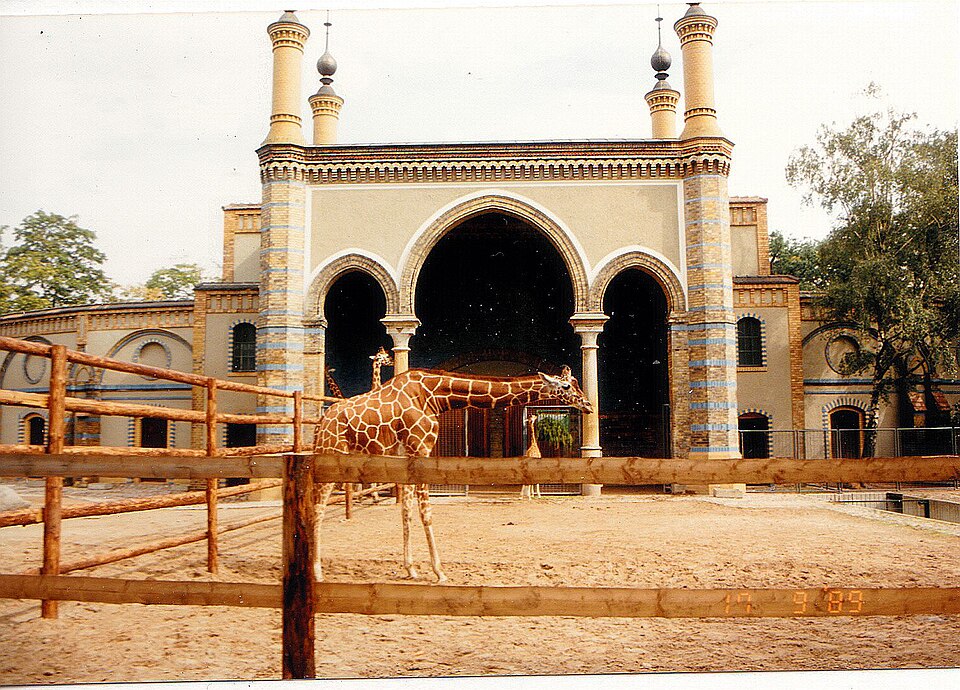 Giraffen Serengeti Zoologischer Garten Berlin - Wildlife ^ Zoo Photography - panoramio — Serengeti, Tanzania