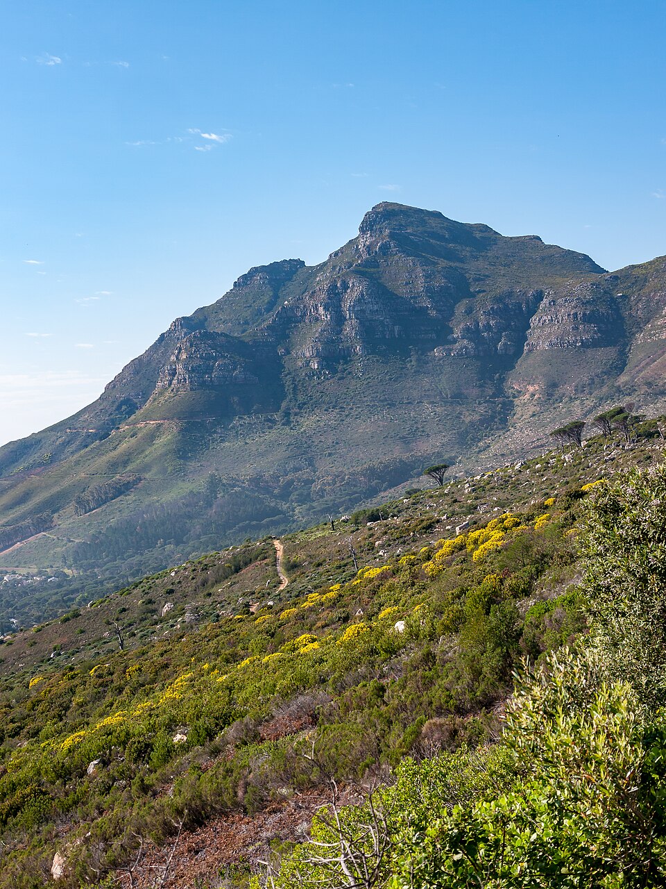 Devils Peak, Cape Town (P1050211) — Cape Town, South Africa