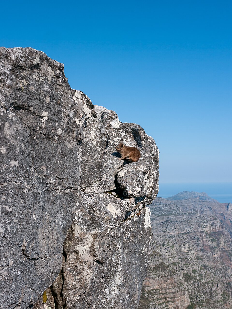 Table Mountain, Cape Town (P1050264) — Cape Town, South Africa