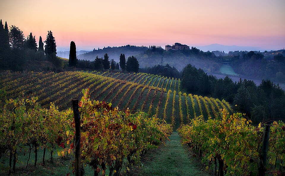 Good Morning Tuscany (183850307) — Val d'Orcia, Italy