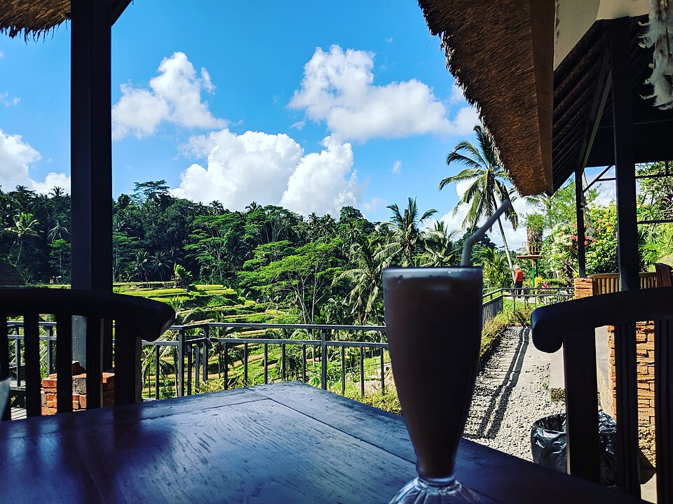 Tegallalang Rice Terraces — Tegallalang, Indonesia