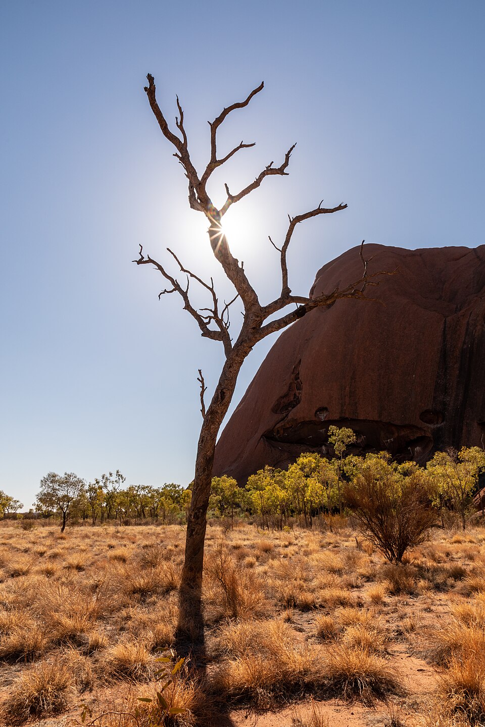 Petermann Ranges (AU), Uluru-Kata Tjuta National Park, Uluru, Kuniya Walk -- 2019 -- 3630 — Uluru, Australia