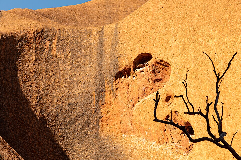 Petermann Ranges (AU), Uluru-Kata Tjuta National Park, Uluru, Kuniya Walk -- 2019 -- 3646 — Uluru, Australia
