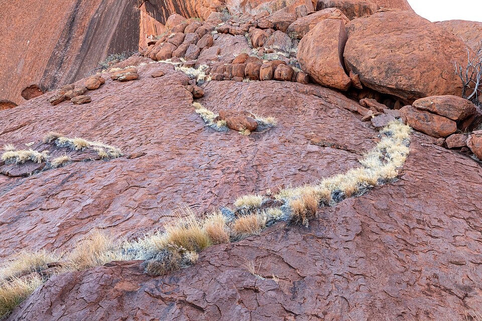 Petermann Ranges (AU), Uluru-Kata Tjuta National Park, Uluru, Kuniya Walk -- 2019 -- 3669 — Uluru, Australia