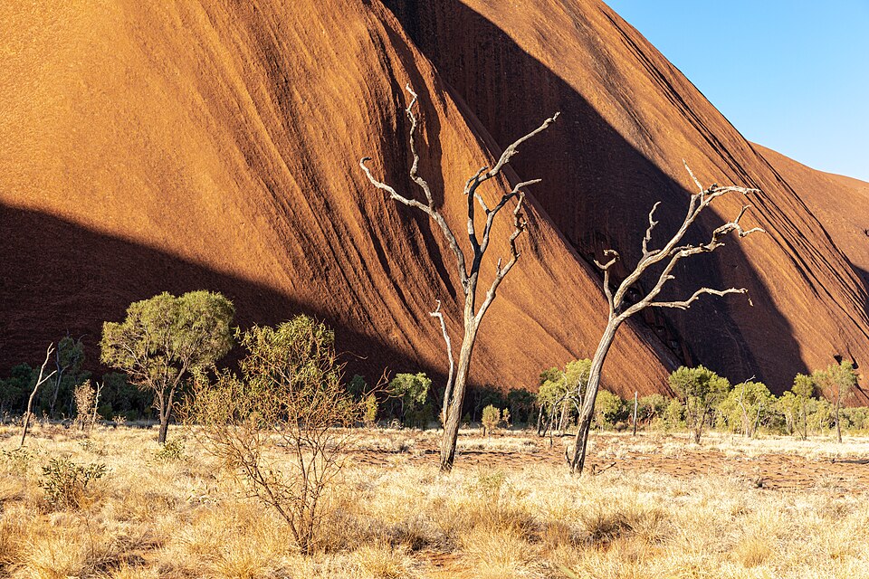 Petermann Ranges (AU), Uluru-Kata Tjuta National Park, Uluru, Kuniya Walk -- 2019 -- 3671 — Uluru, Australia